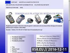 Miniaturka domeny terminale-broker.pl