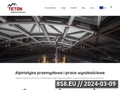 Miniaturka teton.pl (Usługi alpinistyczne)