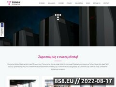 Miniaturka domeny times.com.pl