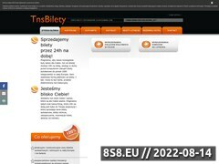 Miniaturka www.tnsbilety.pl (Bilety autokarowe online T.N.S.)