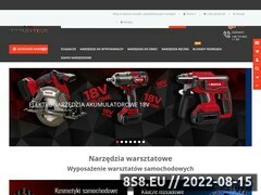Miniaturka www.tools-tech.pl (Sklep z narzędziami do warsztatów samochodowych)