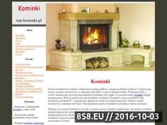 Miniaturka domeny www.top-kominki.pl