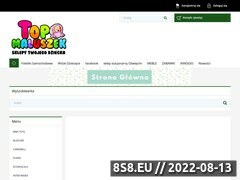 Miniaturka www.top-maluszek.pl (Ubranka dla dzieci i niemowląt oraz do chrztu)