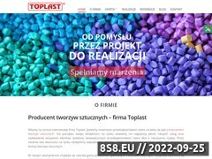 Miniaturka domeny www.toplast.com.pl