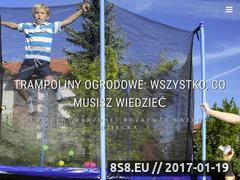 Miniaturka domeny trampolina-z-siatka.pl