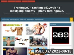 Miniaturka treningok.pl (Treningi, ćwiczenia na masę oraz ranking odżywek)