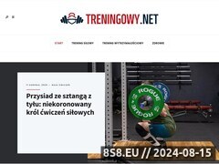 Miniaturka strony Portal powicony treningowi siowemu i funkcjonalnemu