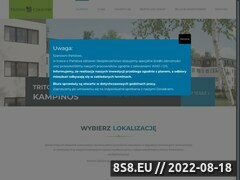 Miniaturka domeny tritondevelopment.pl