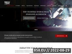 Miniaturka domeny www.tsw.biz.pl