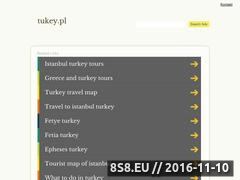 Miniaturka tukey.pl (Świat klocków Lego i Banbao)