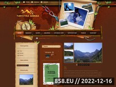 Miniaturka turystyka.gazetafinansowa.info.pl (Serwis górski przedstawiający pasma górskie)