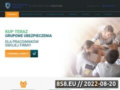 Miniaturka domeny ubezpieczeniagrupowe.com.pl