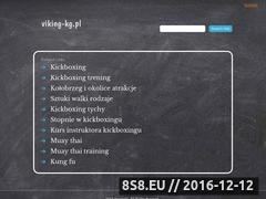 Miniaturka domeny www.viking-kg.pl