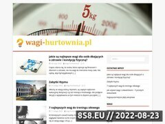 Miniaturka domeny www.wagi-hurtownia.pl