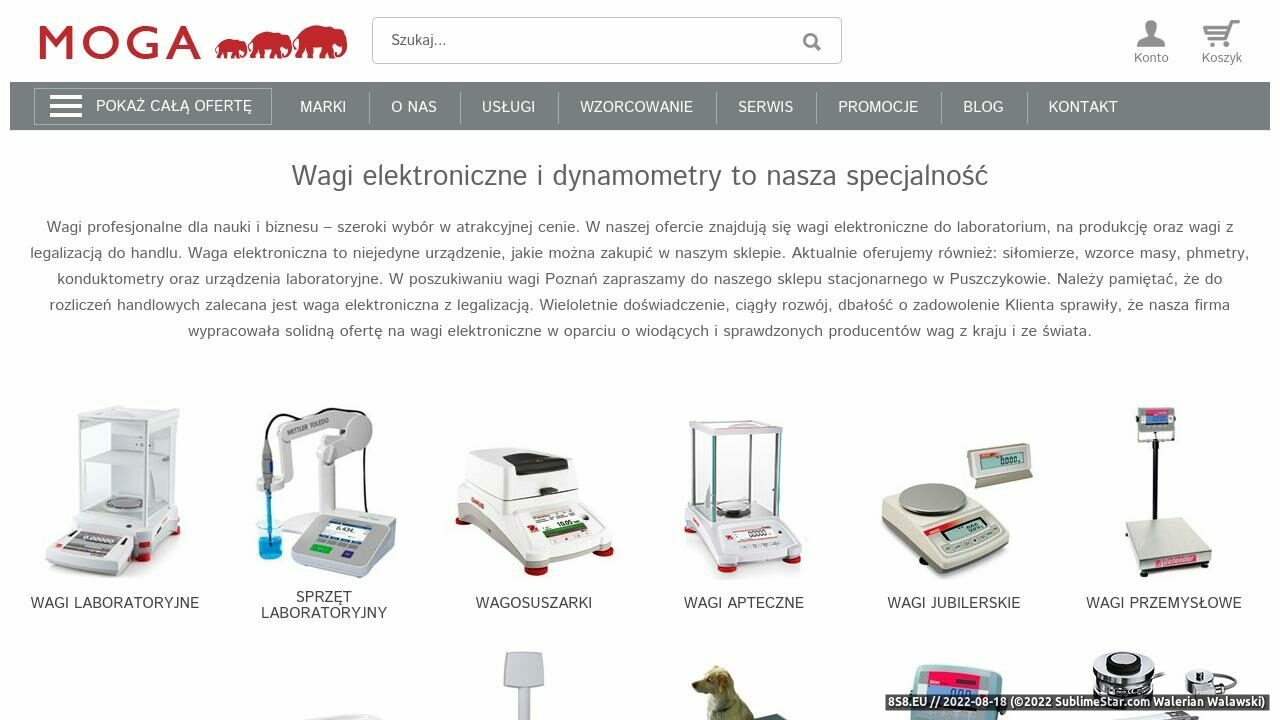 Laboratoryjne (strona www.wagi.biz - Wagi.biz)