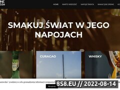 Miniaturka wakacyjnenapoje.pl (Najpopularniejsze zagraniczne trunki)
