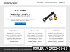 Miniaturka domeny walkardana.pl