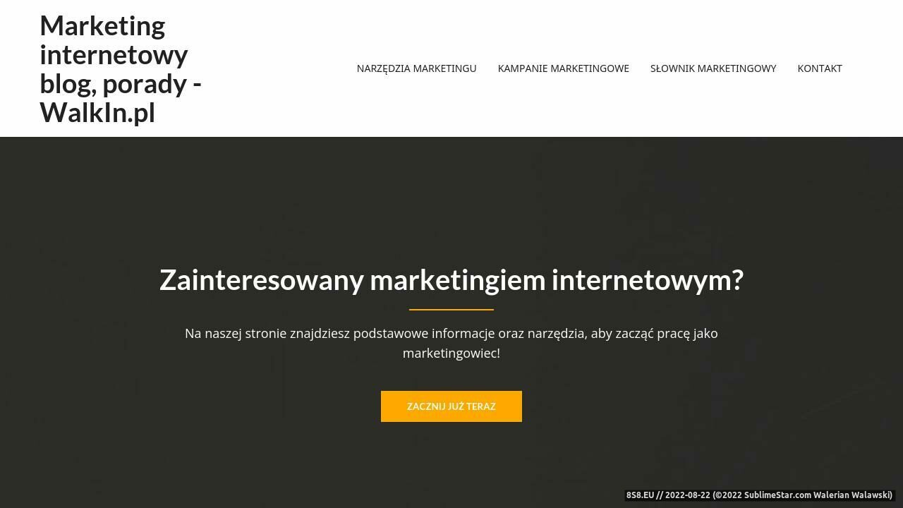 Agencja Marketingu Internetowego - Walkin (strona walkin.pl - Reklama w internecie)