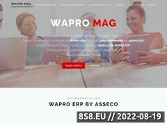 Zrzut strony Oprogramowanie Asseco Wapro