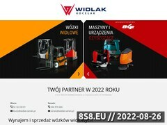 Miniaturka domeny widlak-serwis.pl