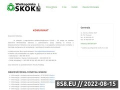 Miniaturka domeny wielkopolskaskok.pl