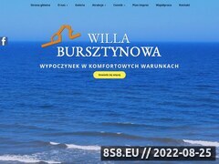 Miniaturka domeny willabursztynowa.com