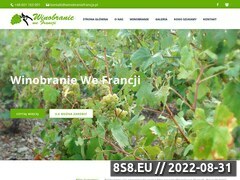 Miniaturka domeny winobraniefrancja.pl