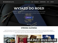 Miniaturka domeny www.wizarussia.pl