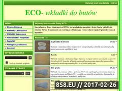 Miniaturka domeny wkladki-eco.pl