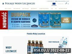 Miniaturka domeny www.woda-lecznicza.pl