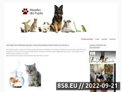 Miniaturka wszystkodlapupila.pl (Artykuły dla zwierząt, karmy i akcesoria - Wszystko dla Pupila)