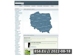 Zrzut strony Oglnopolski serwis ogosze online - Aleogloszenia.pl - tu si wpromujesz
