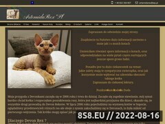 Zrzut strony Hodowla kotów rasy Devon Rex