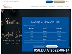 Zrzut strony Kantor internetowy, wymiana walut online