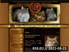 Zrzut strony Hodowla kotów syberyjskich Czar Północy*PL