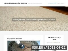Zrzut strony CZ.KACZMARCZYK pranie wykładzin dywanowych