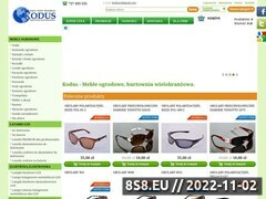 Zrzut strony Hurtownia artyku��w chi�skich