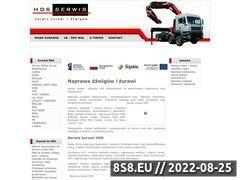Zrzut strony Serwis urawi Hiab