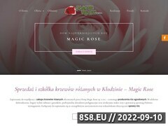 Zrzut strony MAGIC ROSE Krzewy ozdobne róże
