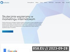 Zrzut strony Profesjonalne strony internetowe