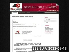 Zrzut strony Importer, kwiaty sztuczne - OGA Trading