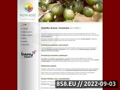 Zrzut strony Piotr Kość - drzewa owocowe