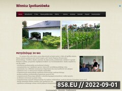 Zrzut strony Winnica Spotkaniówka, wino, słupki akacjowe - robinia