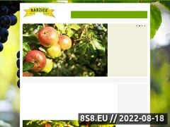 Zrzut strony Producent przetworw owocowo-warzywnych, Agro-Transpol