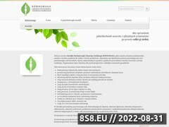 Zrzut strony Rwnowaga - Psychoterapeuta i Psycholog