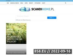 Zrzut strony Scandihome.pl - skandynawski wystrój wnętrz
