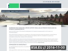 Zrzut strony Rynek rosyjski - SGEE