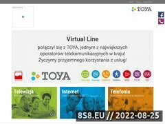Zrzut strony Internet d Virtual Line