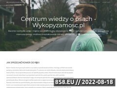 Miniaturka domeny www.wykopyzamosc.pl