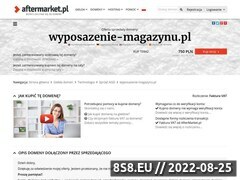 Miniaturka domeny www.wyposazenie-magazynu.pl